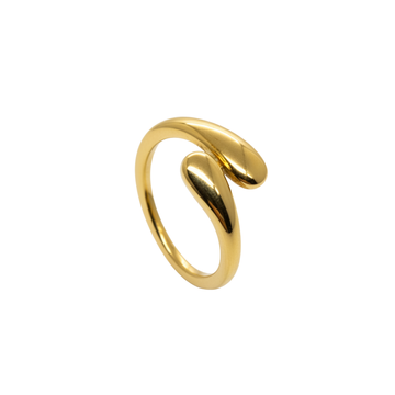 Anillo Twist